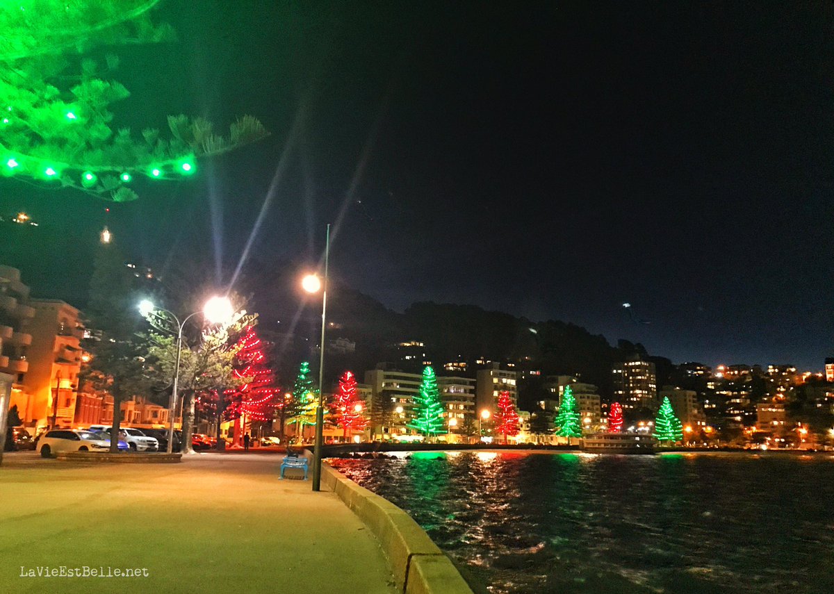 gemrosete's tweet image. More of the Southern Hemisphere #Christmas scenery. @OrientalBayNZ @Wellington_NZ #NZsummer #AVeryWellyChristmas