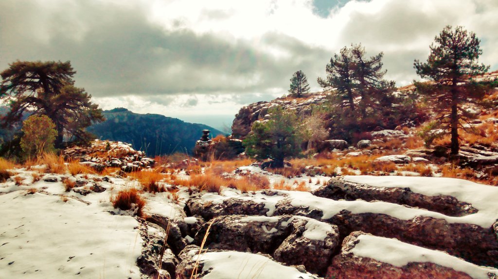 Agf_Acebo's tweet photo. Cazorla es impresionante en invierno. https://t.co/Who4e4gz3Y