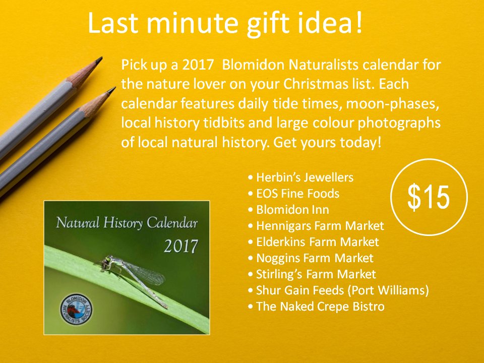 Last minute shopping tip: 2017 BNS Calendars available at the listed local businesses.