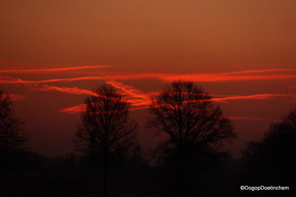 Kortste dag oogopdoetinchem.nl/2016/12/21/kor…