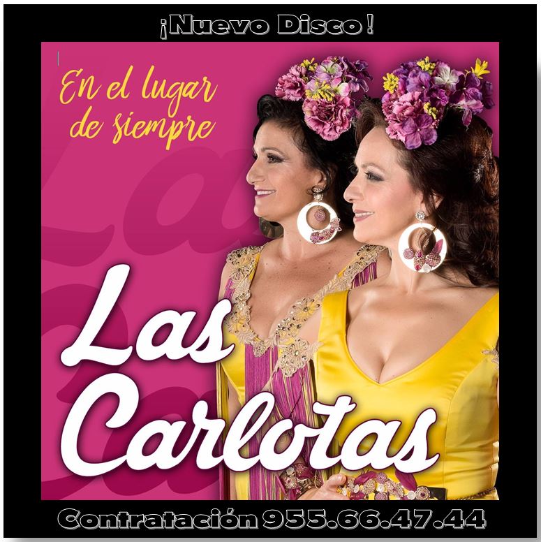 Forum T. Nazareno (@forumtnazareno) on Twitter photo 