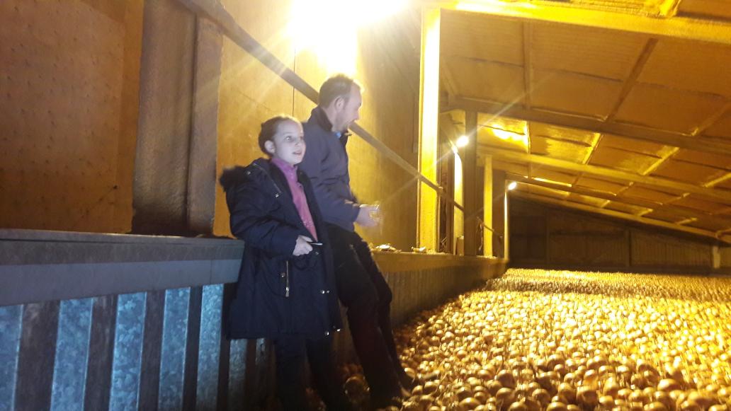 Kingston22W's tweet photo. Great for Rosie to learn about #Onions @jimt_farmer @AllpressF 
She said 'that was fun'
@BritishGrowers @Britishleeks @coostiebarrey https://t.co/vFAesKzTvH