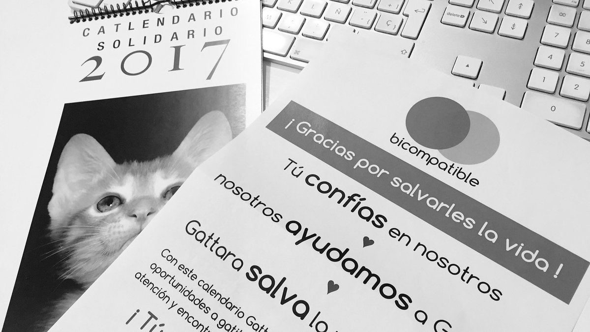 avataradesign's tweet photo. Gracias @bicompatible por este catlendario de @pgattara que hará juego con la taza bigotuda del año pasado. 😚 https://t.co/7nNg5pe790
