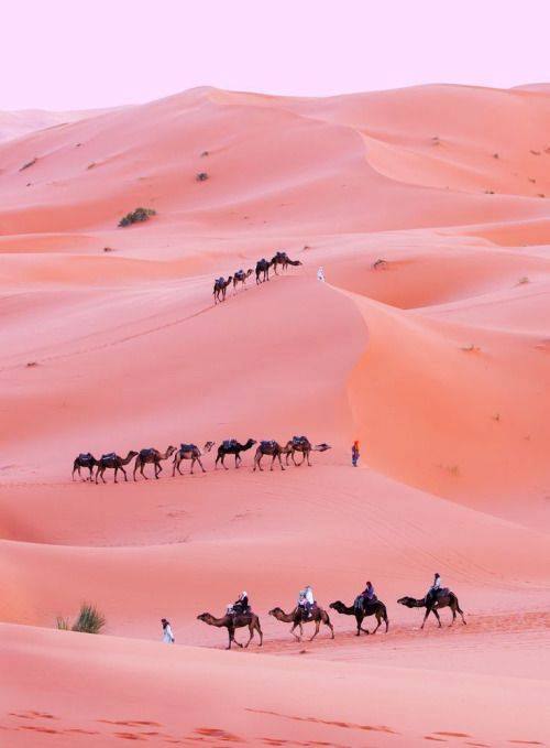 NOWNESS's tweet image. Pink Desert, Tunisia

More Travel: bit.ly/2fLYQI2