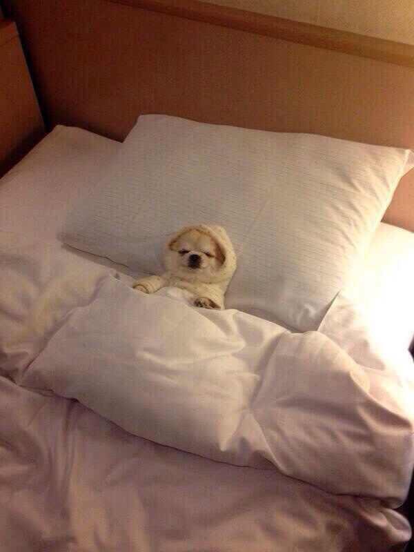 AmerAttorneys's tweet image. When bed is too big...because you're alone.