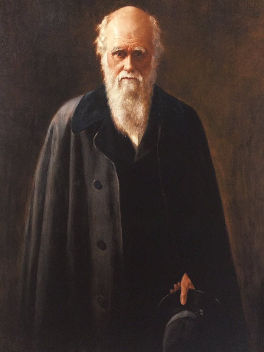 MartinRemains's tweet photo. Got myself a Christmas present. This picture. One of the greatest people who ever lived - Charles #Darwin #EvolutionByNaturalSelection https://t.co/BYj9yqKXXo