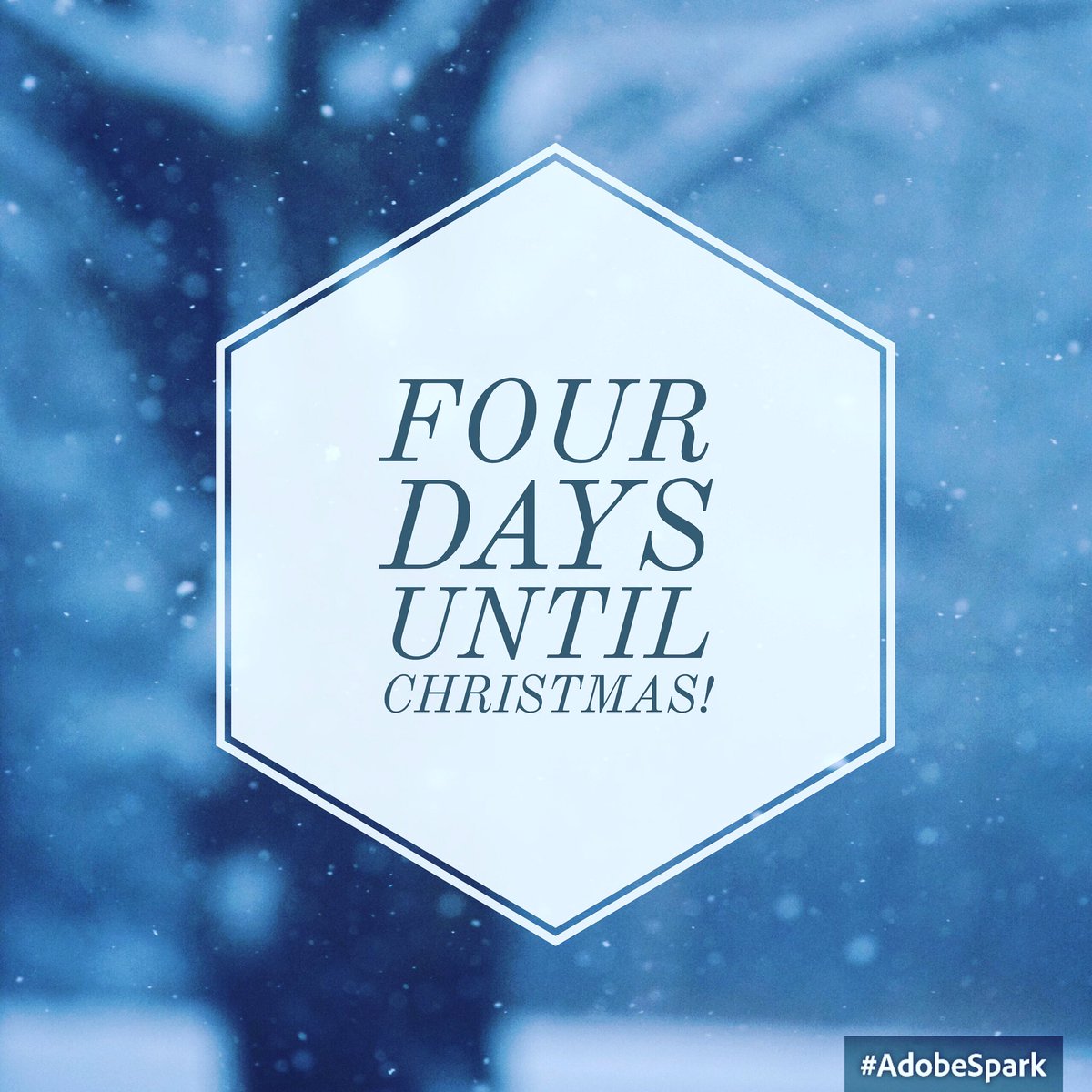 ccard3dev's tweet image. 