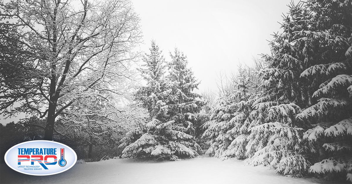 TempProDenver's tweet image. Happy #WinterSolstice Denver! Make sure you stay #warm with all our products and services at TemperaturePro!