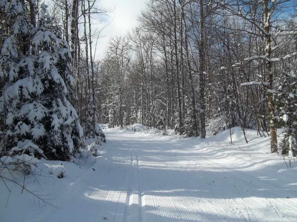 PEIadventures's tweet photo. 21km of groomed xcountry ski &amp; snowshoe trails with 3km of lit trails for night skiing @SourisStriders in @SourisPE https://t.co/FAaILu7Dwy https://t.co/CKSFzcu2YN