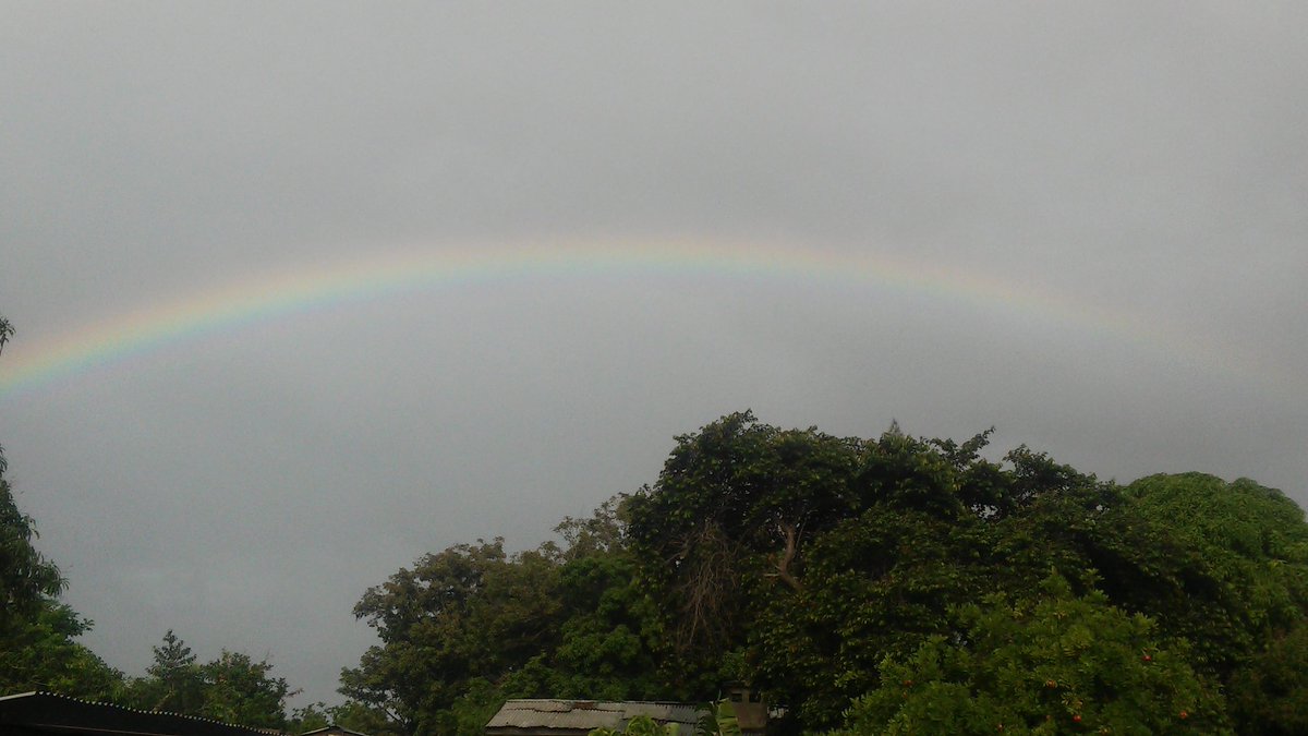 thierryiverson's tweet photo. With the morning wet with all this drizzle rain, its good to see one of these or two. Good morning world! π #Rainbow #HisCovenant π https://t.co/TuVch8hewW