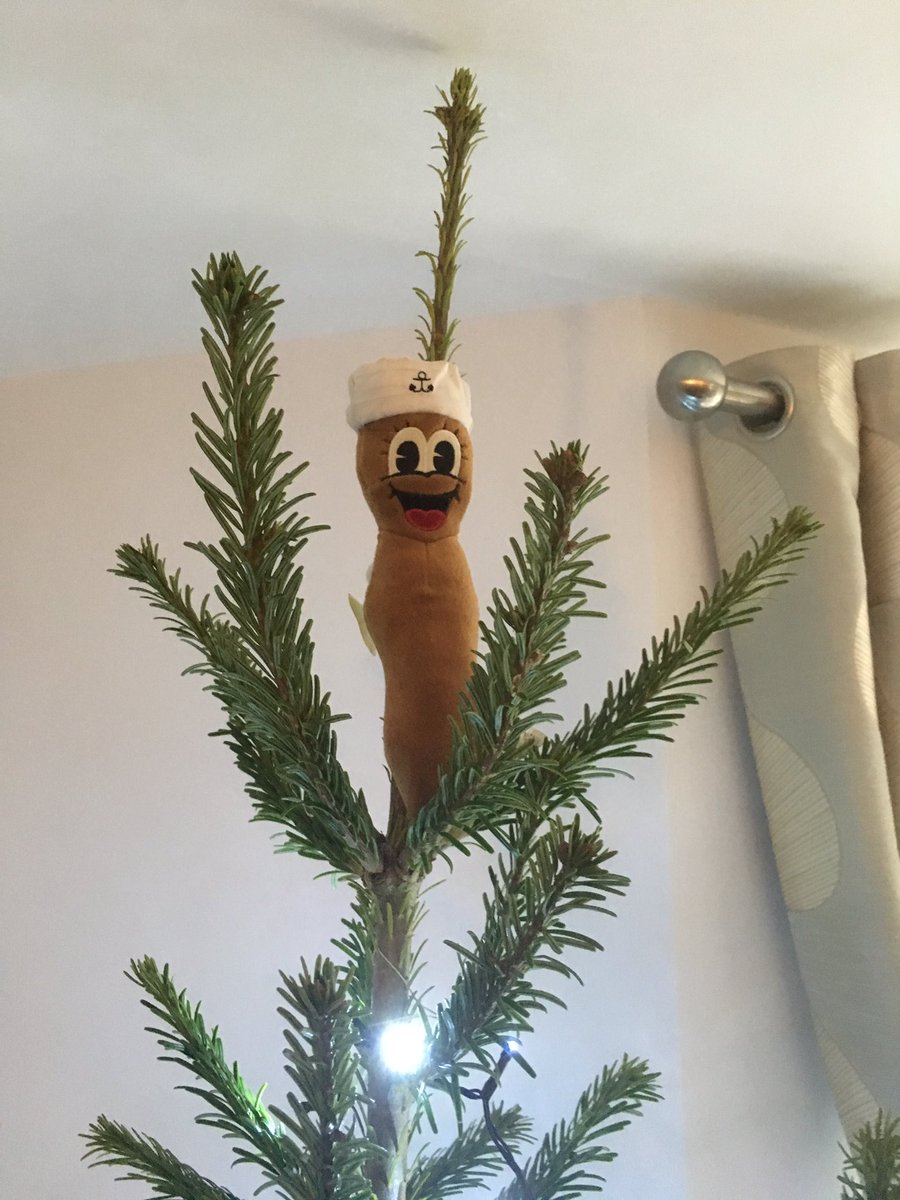 Howdy-ho it's Mr Hankey at the top of our tree!!!! <a href="/SouthPark/">South Park</a> #MrHankey <a href="/ComedyCentral/">comedycentral</a> <a href="/ComedyCentralUK/">Comedy Central UK</a>