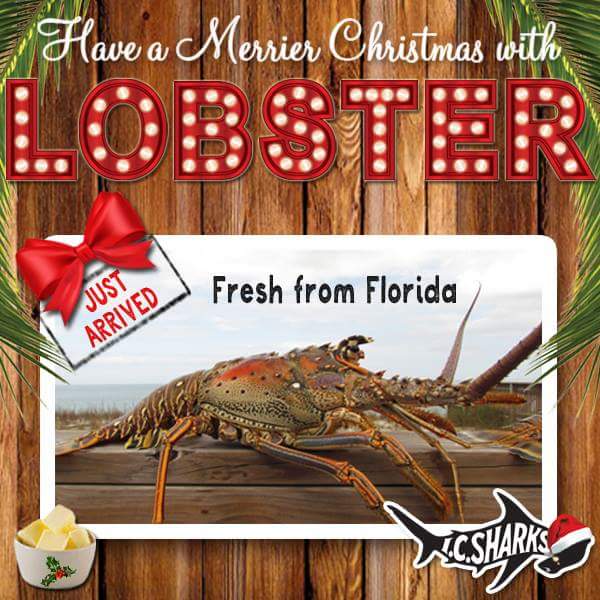 ICSharks's tweet photo. Fresh FL Lobster makes everything Merrier! #freshseafood #spinylobster #seafoodie #freshfromflorida #merryeverything #eatwell #icsharks https://t.co/BcFFZ4UaTa