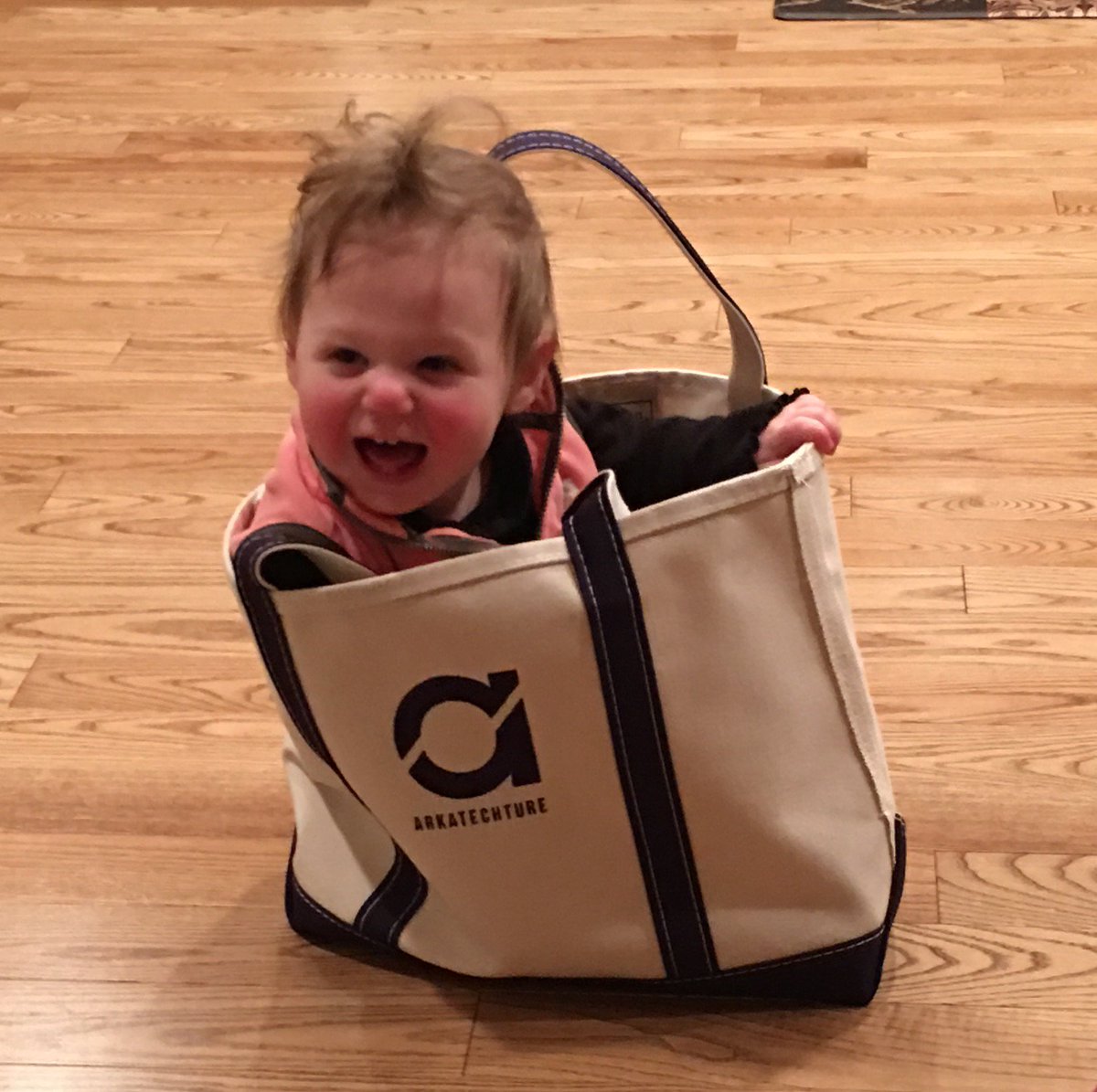 ArkaGetch's tweet photo. Thanks to @Arkatechture for the fantastic Christmas gift! Our future ArkaBot approves! #arkababy https://t.co/CScUZzhuFP