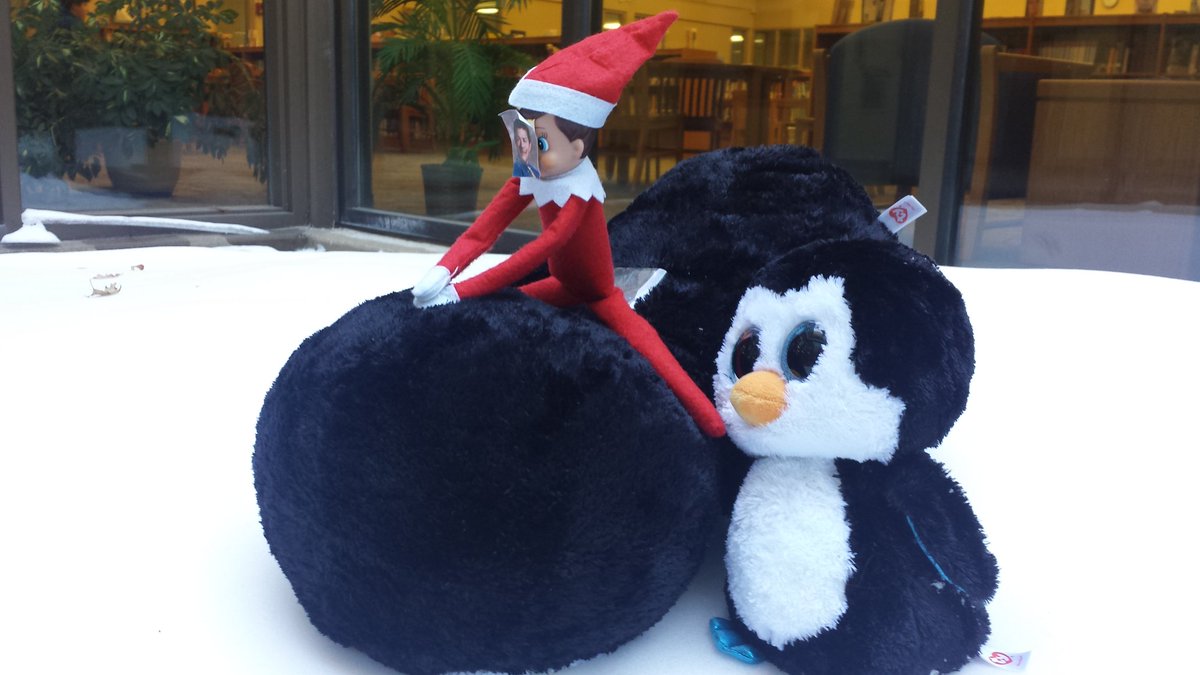 Profe Waddles tweet media