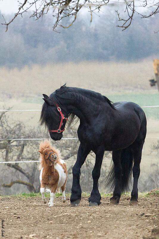Ирина (@irina_int) on Twitter photo 