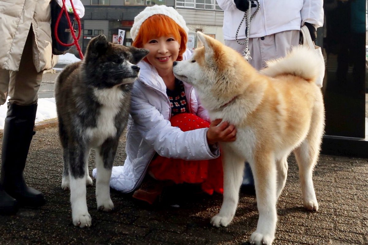 Rie りえ V Twitter 全員で同じポーズ 大館駅前で出迎えてくれた忠犬ハチ公像と大館市の看板娘の秋田犬あこちゃん あすかちゃん Asuka Ako 秋田犬ふれあいライン 秋田犬 秋田 日本 日本大放送 Gojapantv Gojapan 香港 Hongkong 撮影 T Co Rie りえ V Twitter 全員で同じポーズ 大館駅前で出迎えてくれた忠犬ハチ公像と大館市の看板娘の秋田犬あこちゃん あすかちゃん Asuka Ako 秋田犬ふれあいライン 秋田犬 秋田 日本 日本大放送 Gojapantv Gojapan 香港 Hongkong 撮影 T Co
