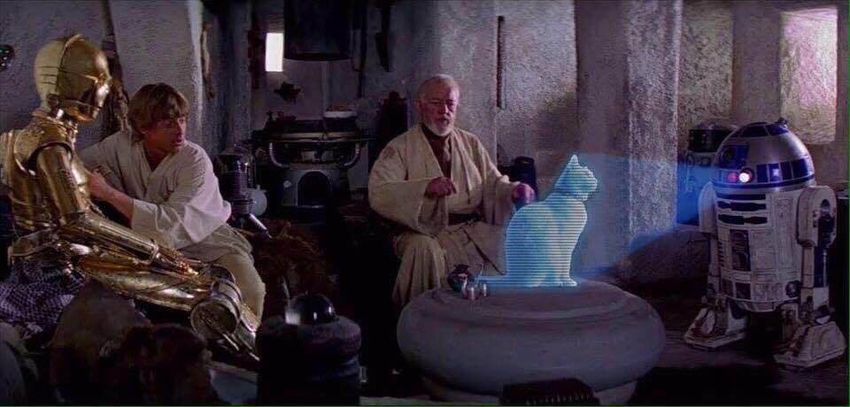 BitchestheCat's tweet image. It appears that I am your only hope...