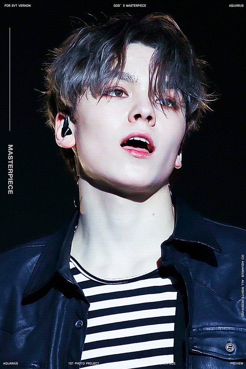 ひたすらに画像あさってたら止まらなくなった…今のバーノン君も