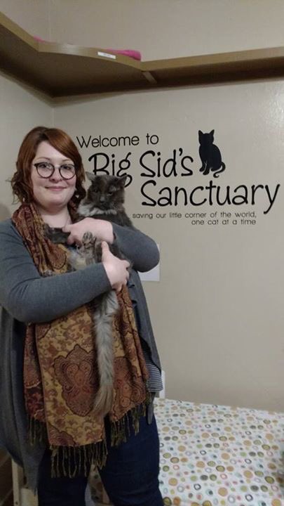 CrashsLanding's tweet image. Happy Adoption Tale: Handsome floof Grover chose his forever human in time for the holidays! #cats #AdoptDontShop #rescuecats Cute family!