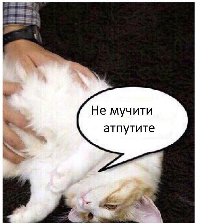 отпусти отпущу ну. отпусти отпущу ну. отпустите пораньше с работы. нипутю кот. опути непутю.