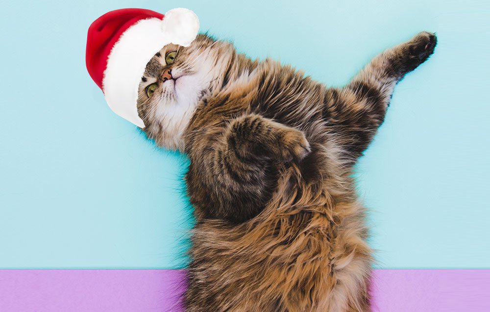 AMovieMart's tweet photo. 6 Nice Sex Positions to Try This Holiday Season—and Their Naughty Counterparts https://t.co/55Lpqe5Qhj https://t.co/vTwaeTFPxF