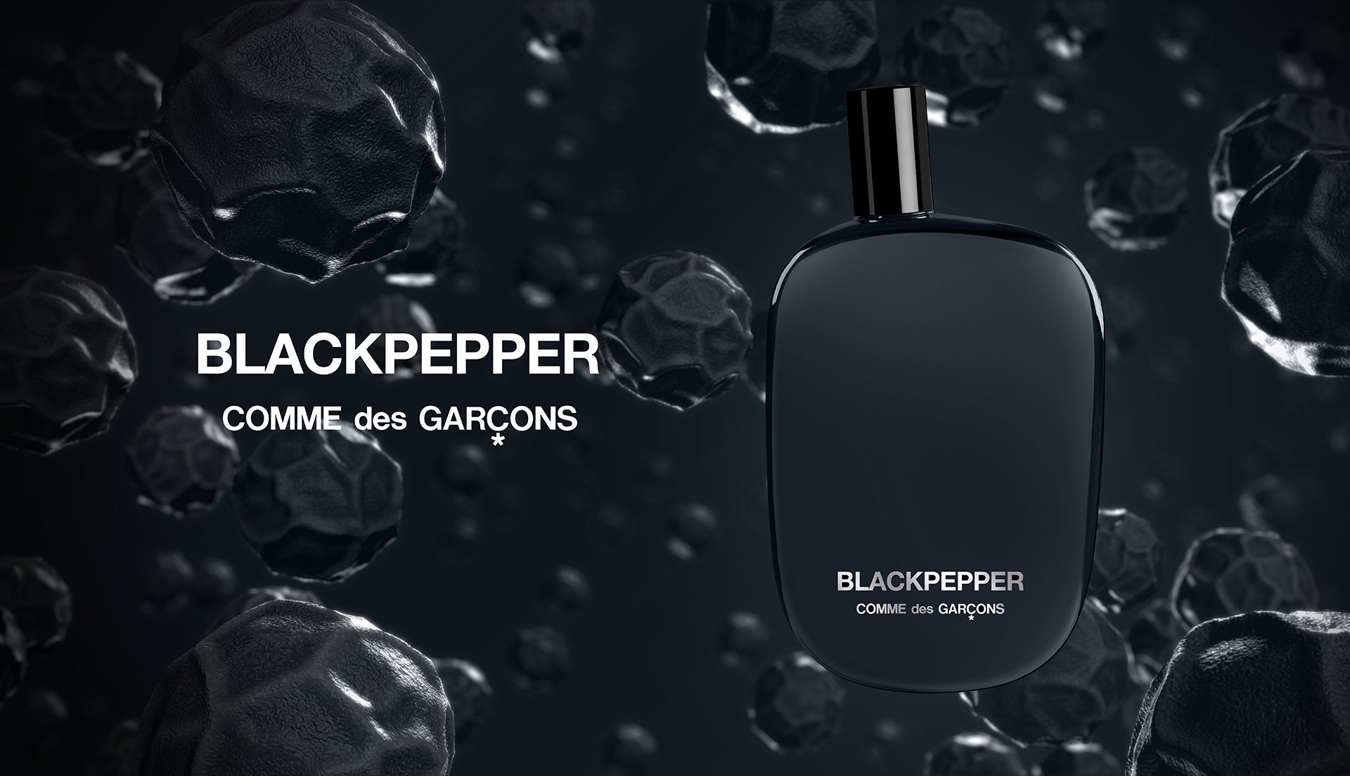 blackpepper comme des garcons