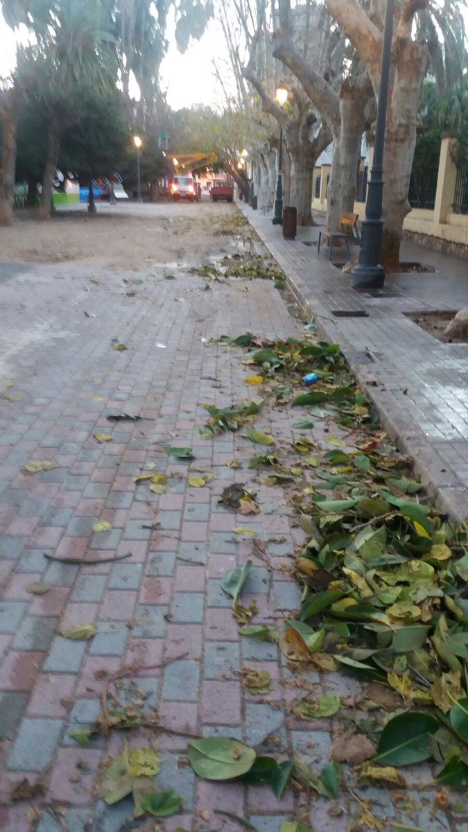 AjuntamentSueca's tweet photo. Seguim amb els treballs per reparar els desperfectes del #TemporalLlevant #Sueca https://t.co/OKEti65d5c