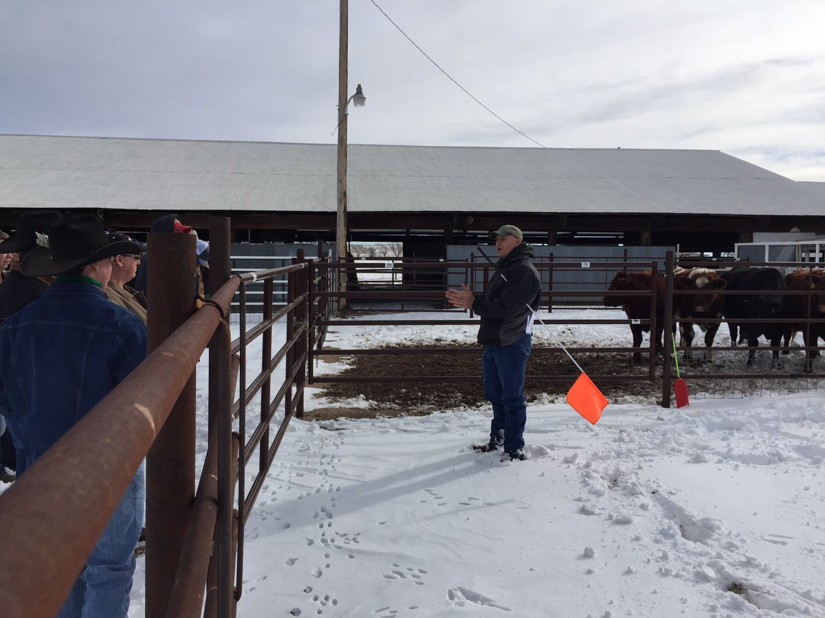 Colorado BQA tweet media