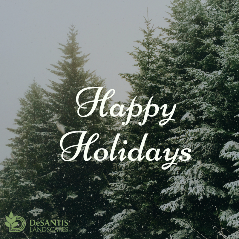 DeSantisLscapes's tweet photo. Happy Holidays! https://t.co/XMemHbhuxJ