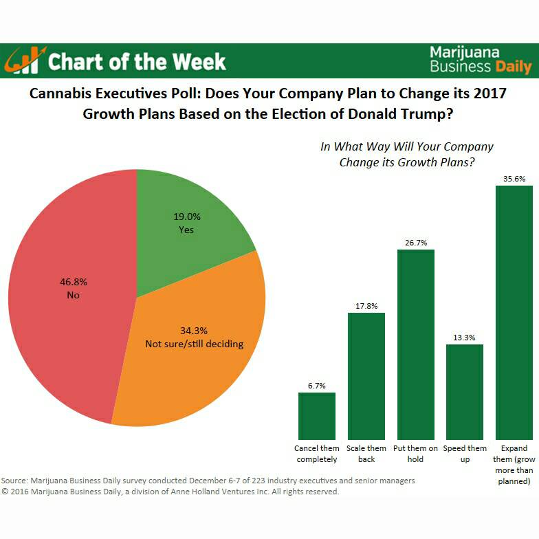 TCML_DIY_Sesh's tweet photo. The Trump effect - Some marijuana companies shifting 2017 growth plans, but most staying the course - MJ Biz Daily https://t.co/Z6nI36OqQO https://t.co/6SHT1eP4HI