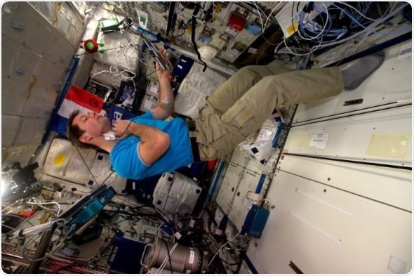 Вес тела невесомость 7 класс физика. Влияние невесомости на организм животного презентация. Тренировка космонавтов. Космонавт в невесомости. Мкс внутри.