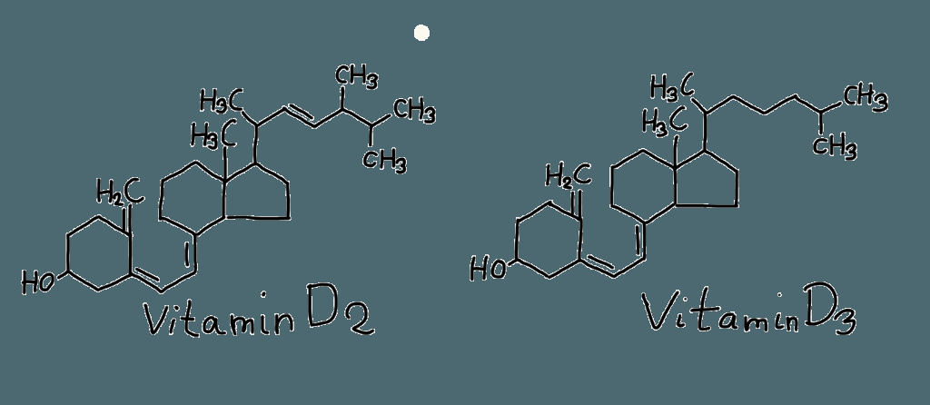 Expertistan_com's tweet photo. Wirkung der Vitamine D und K auf die sportliche Leistung https://t.co/8wTlG6p9rF https://t.co/SuxnWPvvLQ