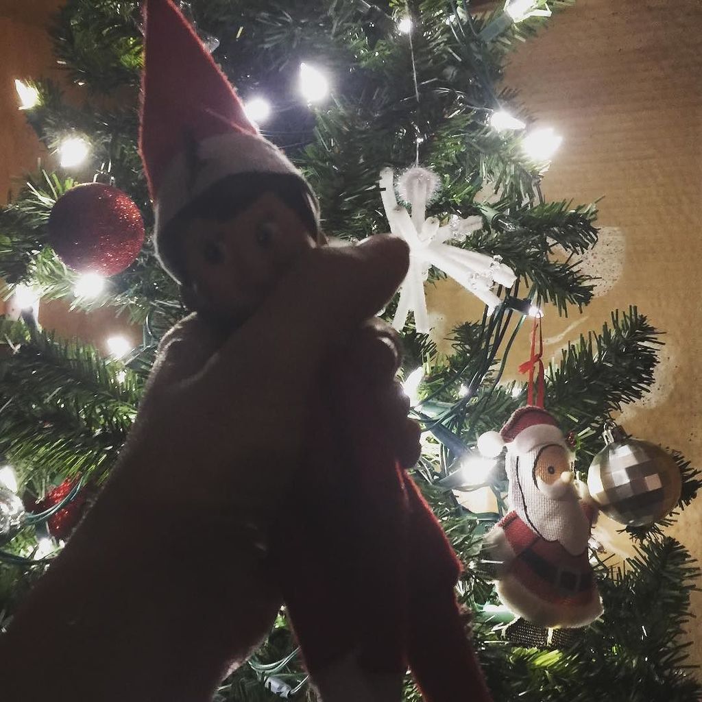 LisaMcClure's tweet image. I caught her! Ha! #elfproblems ift.tt/2hHSDhn