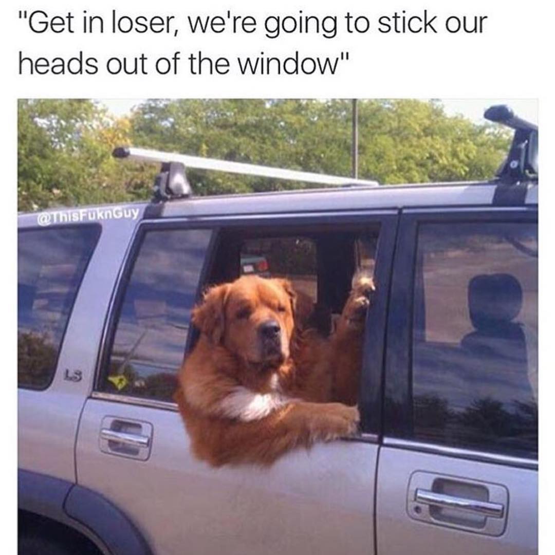 MensHumor's tweet photo. Say no more. https://t.co/BSccwgQrjV