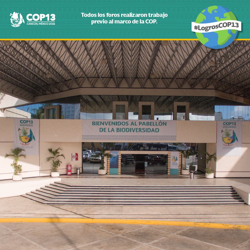 El trabajo previo estableció la pauta y contexto para entrar de lleno a los eventos que se desarrollaron durante la #COP13. #LogrosCOP13
