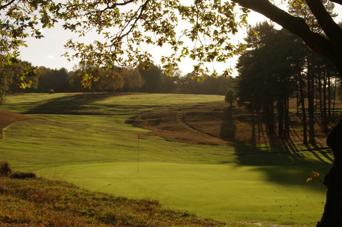 #golf #england #cortedelvino <a href="/RoyalAshdown/">Royal Ashdown Forest Golf Club</a>