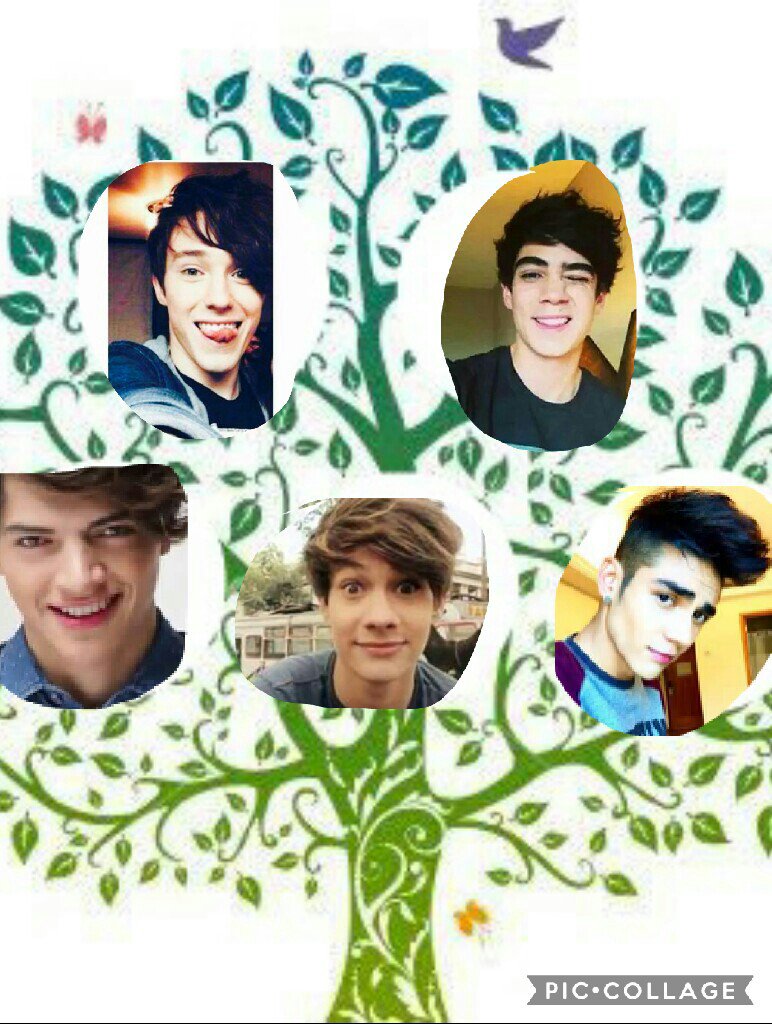 coderpower28's tweet image. Ellos mi familia 👇❤
Yo se,no me quedo tan bien 😂❤
Aleevillal❤