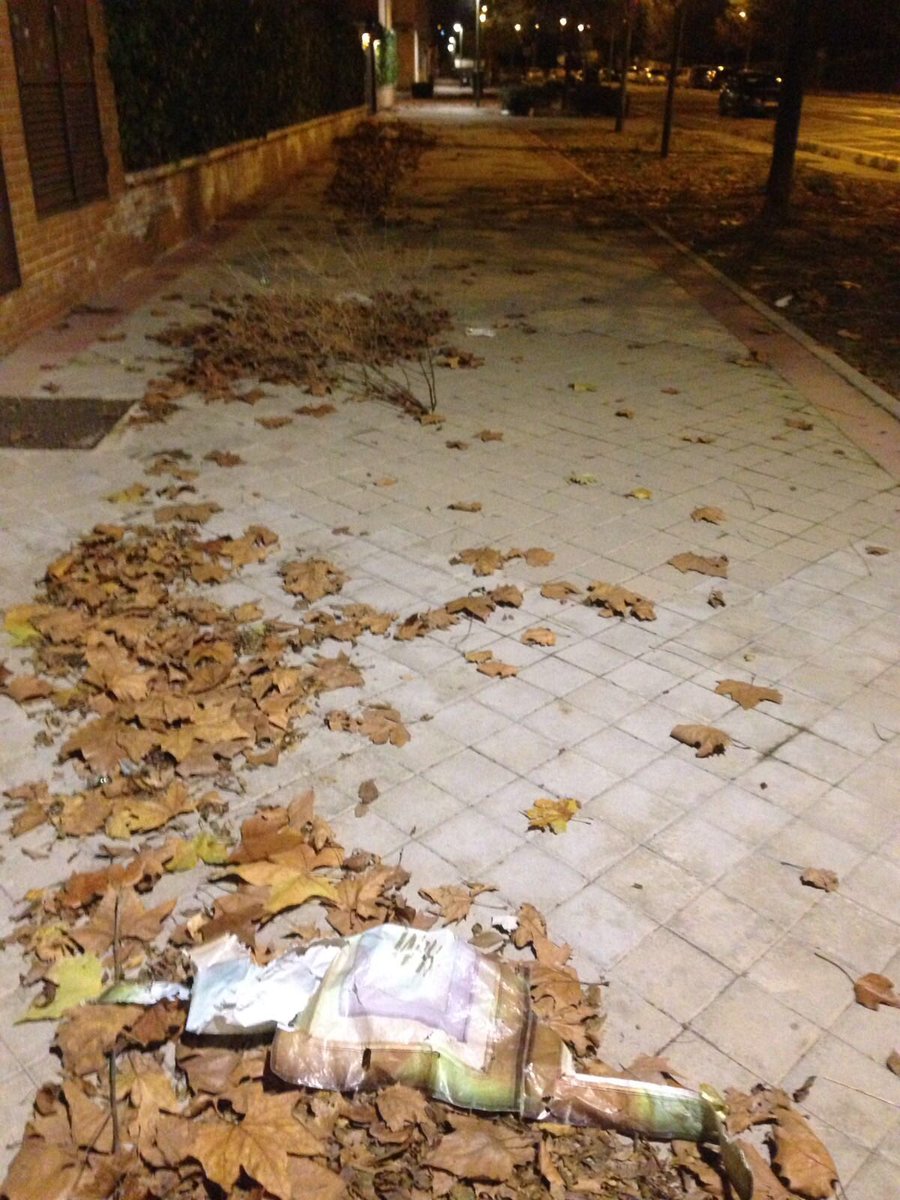 Pedro J. Rodríguez tweet media