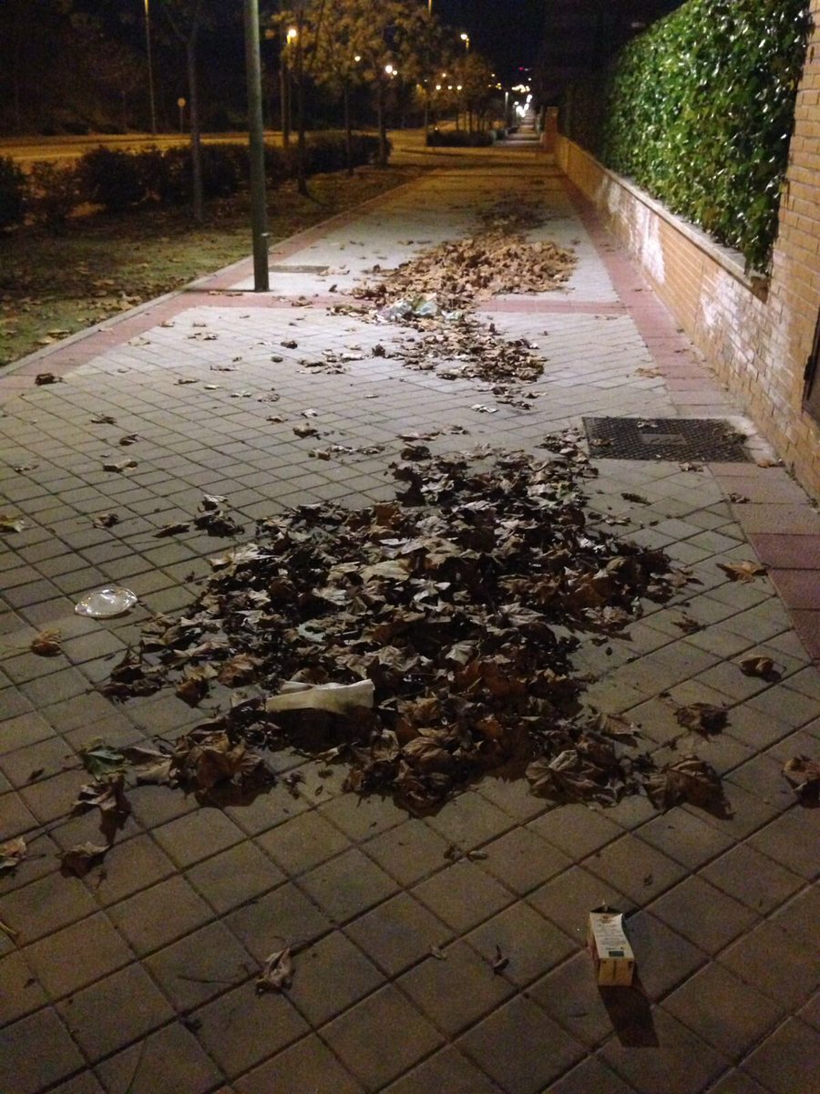 Pedro J. Rodríguez tweet media