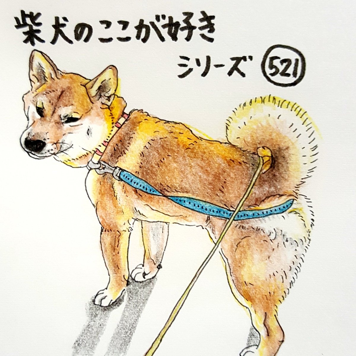 柴犬のここが好きシリーズ 柴犬の好きな所を描いたイラストが 柴犬愛好家のツボを刺激しまくる Peco Goo ニュース