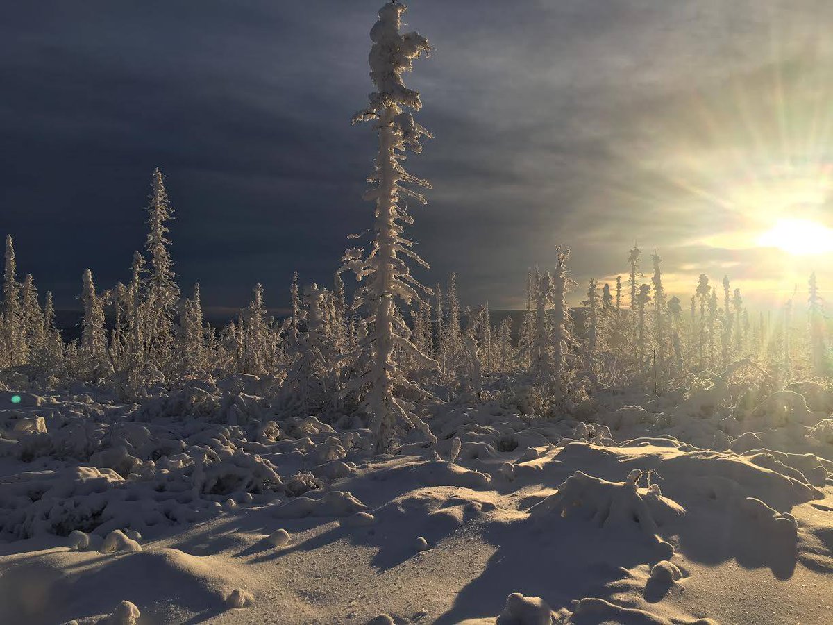USFWSAlaska's tweet image. Happy #wintersolstice!!
#WinterWonderland #Alaska