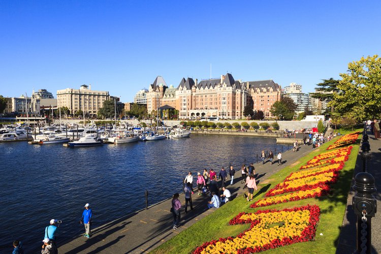 Canada's latest booming #tech hub, #yyj is helping #startups thrive thru innovative culture
qcollege.ca/news/gina-wice…
