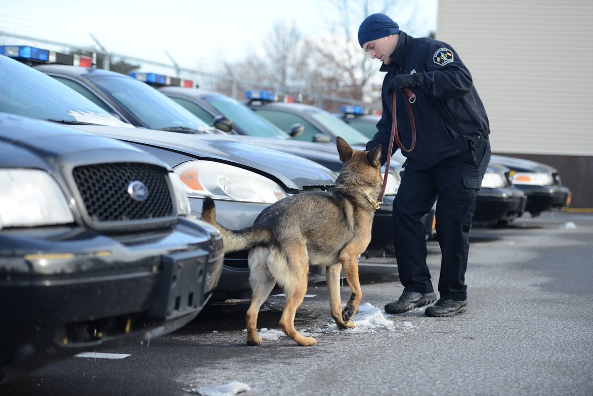 Andy Ouriel (@andyouriel) on Twitter photo Gallery (via <a href="/jillyburnsphoto/">Maybe: Jilly</a>): <a href="/CitySanduskyPD/">Sandusky Police Dept</a> K-9 Onur ready to serve bit.ly/2i7YihM <a href="/sanduskyregistr/">Sandusky Register</a> @sandusky2018 <a href="/ChiefOrzech/">John Orzech</a> Gallery (via <a href="/jillyburnsphoto/">Maybe: Jilly</a>): <a href="/CitySanduskyPD/">Sandusky Police Dept</a> K-9 Onur ready to serve bit.ly/2i7YihM <a href="/sanduskyregistr/">Sandusky Register</a> @sandusky2018 <a href="/ChiefOrzech/">John Orzech</a>
