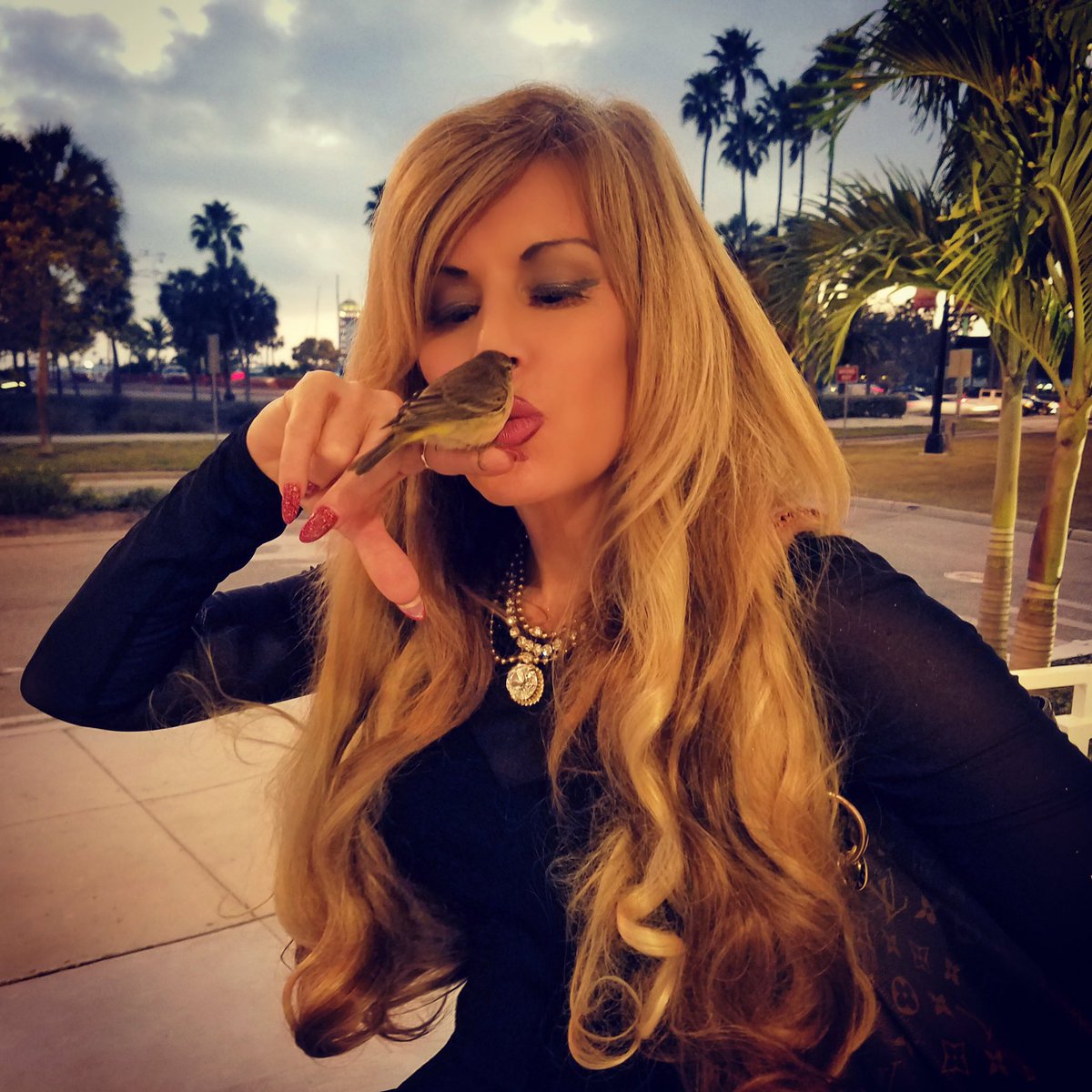 BulkinShort's tweet image. #Finch #Bird #Special #Birdrescue #BeautifulDistraction #beautifulbird