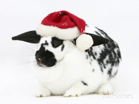 HAPPY PAWLODAYS FROM MY KIDS