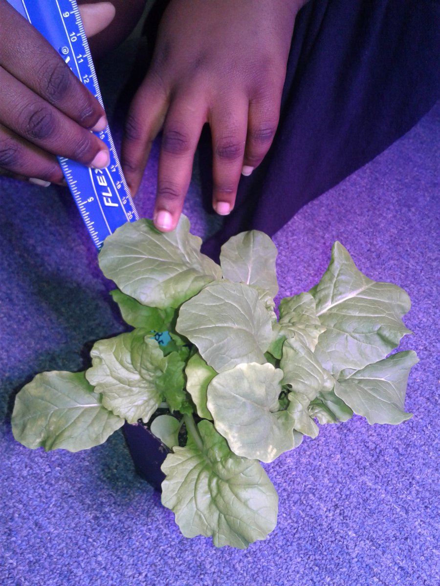 We grew what astronauts eat on the moon!☺🙂🤗