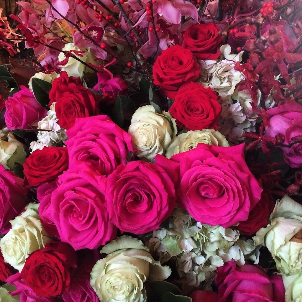 StaciSturrock's tweet photo. Can I just move into the Breakers floral department and live there? #roses #flowers #thebr… https://t.co/7uK9947GPl https://t.co/sppxz4FDmj
