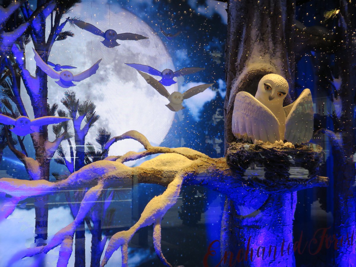 outmagazine's tweet photo. Here's Your Guide to the Holiday Windows of NYC! https://t.co/REPkVbxs2n #HiltonGoOut https://t.co/aJE6iGaYPm
