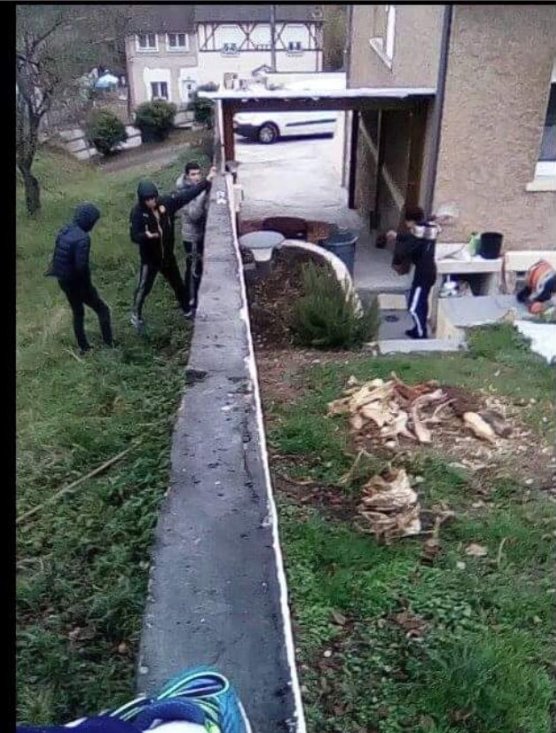 TheKairi78's tweet photo. Dite moi que sa part pas trop loin la !! Pendant mon absence sa escalade le mur de chez moi ... la parcontre sa passera pas .... https://t.co/Ukzu4BB21N