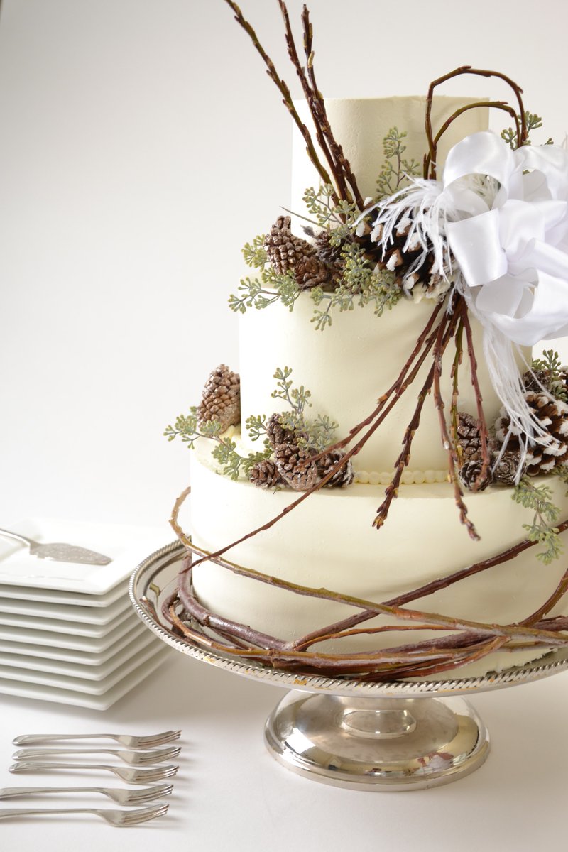 WaterviewVAN's tweet photo. Waterview includes complimentary cake cutting for all our events. "A party without @culinary_capers cake is just a meeting." https://t.co/cH0yndwDIK